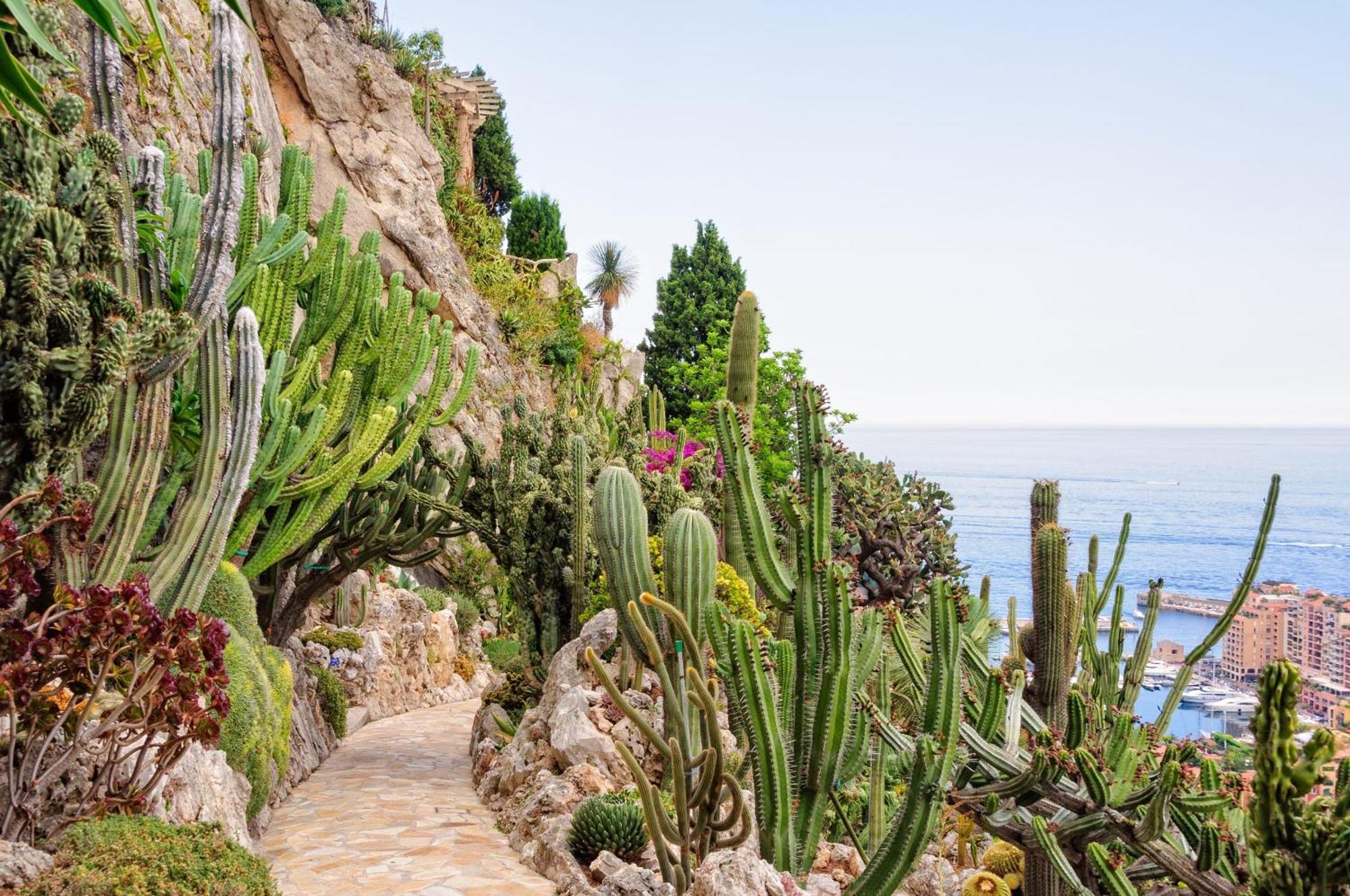 Sejour En Pleine Nature, Vue Imprenable, Jacuzzi Contes  Εξωτερικό φωτογραφία